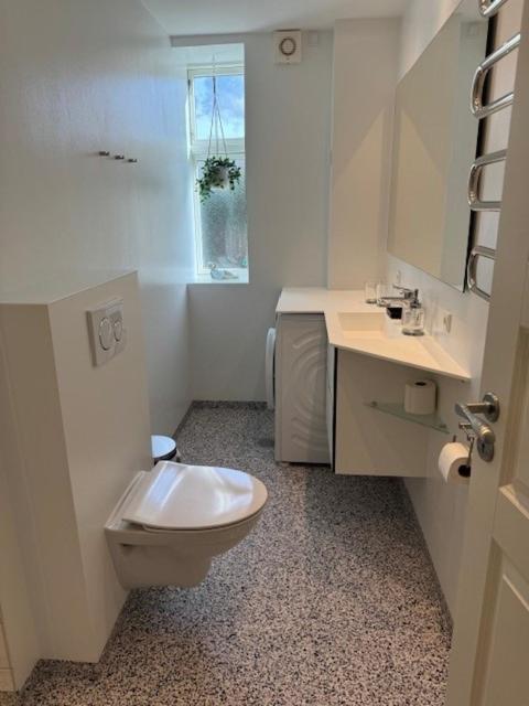 Korsbrodregade 12 Apartment Ribe Ngoại thất bức ảnh